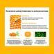 Набір антиоксидантних масок з екстрактом прополіса Dr.Ceuracle Vita Propolis Antioxidant Mask, 30 мл * 10шт 8806133614426 фото 3