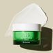 Крем з екстрактом чайного дерева Dr.Ceuracle Tea Tree Purifine Cream, 2 мл 8806133615881 фото 2