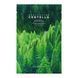 Тканинна маска для обличчя Skin 1004 Madagascar Centella Tea-Trica Relaxing Mask, 1 шт 8809913832058 фото 1