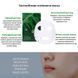 Заспокійлива маска з екстрактом чайного дерева Dr.Ceuracle Tea Tree Purifine Soothing Mask, 1 шт 8806133614470 фото 3