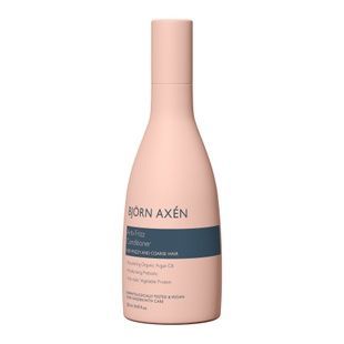 Розгладжуючий кондиціонер Bjorn Axen Anti-Frizz Conditioner, 250 мл 7350001706726 фото