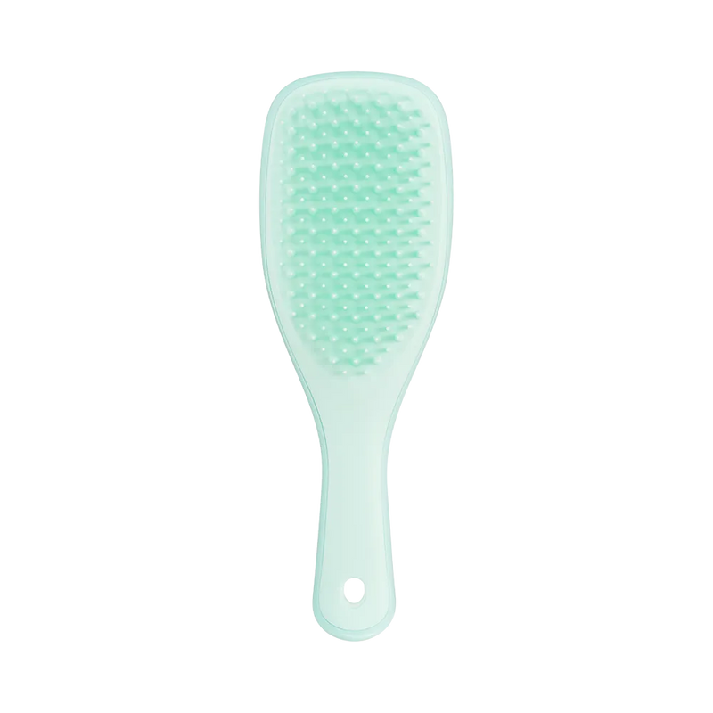 Щітка для волосся Tangle Teezer The Ultimate Detangler Mini Fine & Fragile Jade Lagoon 5060926685090 фото