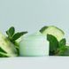 Нічна маска для губ &laquo;Огірок-м&rsquo;ята&raquo; NCLA Beauty Beauty Sleep Overnight Lip Mask - Cucumber Mint, 15 мл 850034009599 фото 5