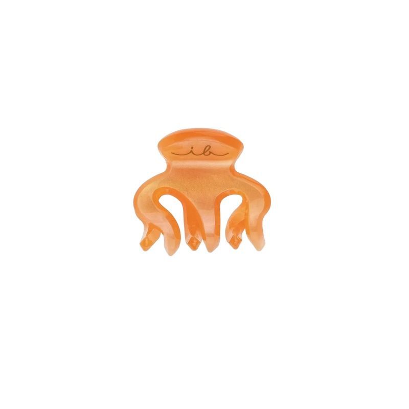 Заколка для волосся invisibobble CLIPSTAR XS Oasis Petit Citrus 4063528084095 фото