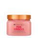 Скраб для тіла Tree Hut Pink Hibiscus Sugar Scrub, 510 г 075371002588 фото 1