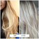 Тонуючий кондиціонер для світлого волосся Davroe Blonde Toning Conditioner, 325 мл 3543 фото 2