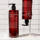Відновлюючий шампунь для дуже пошкодженого волосся CURLY SHYLL After Salon Care Shampoo, 360 мл 8809732861833 фото 4